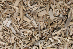biomass boilers Rolvenden Layne